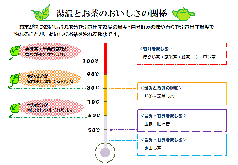 湯温とお茶のおいしさの関係