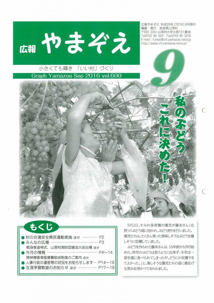 scan-28